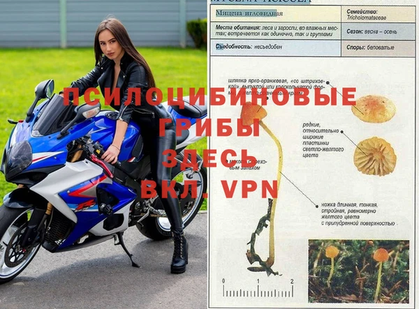 jwh Алексеевка