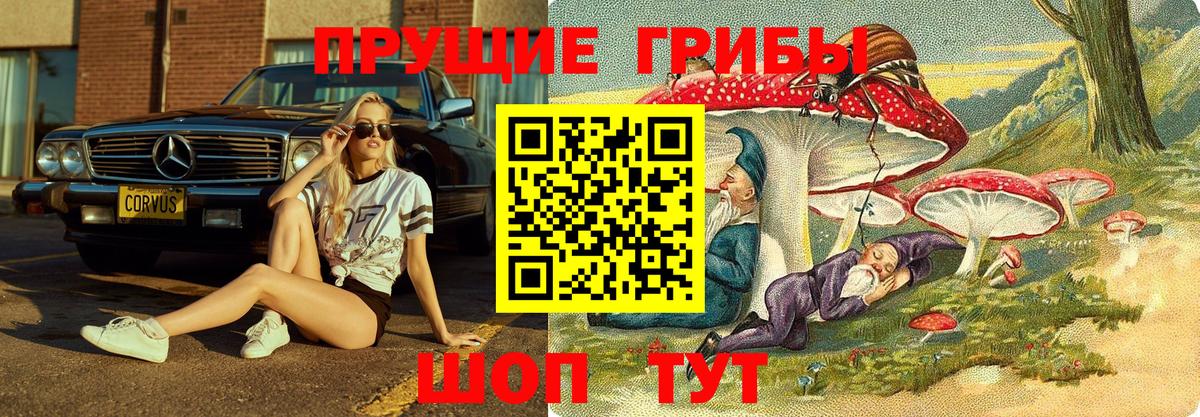 Галлюциногенные грибы мицелий  Псилоцибиновые грибы Magic Shrooms  Раменское  Вход с VPN 