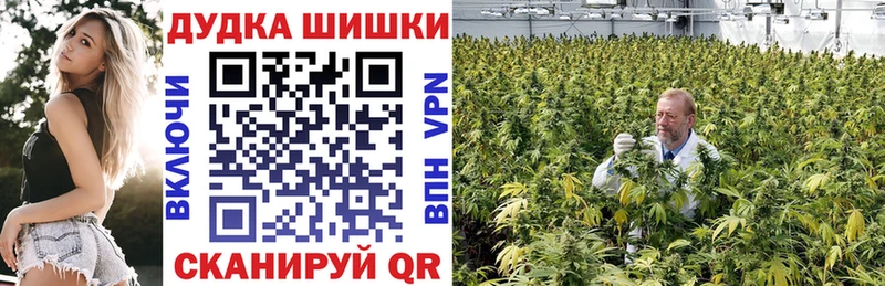 МАРИХУАНА гибрид  Раменское 